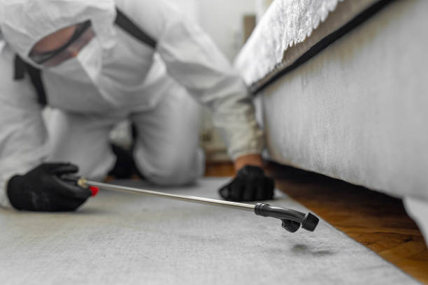Professional Bed Bug Control technician working in Leon Valley, TX