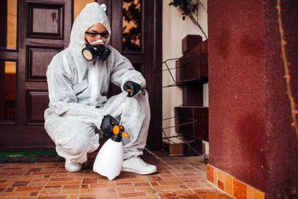 Reliable Bed Bug Control contractor in Leon Valley, TX by Nex Pest Control