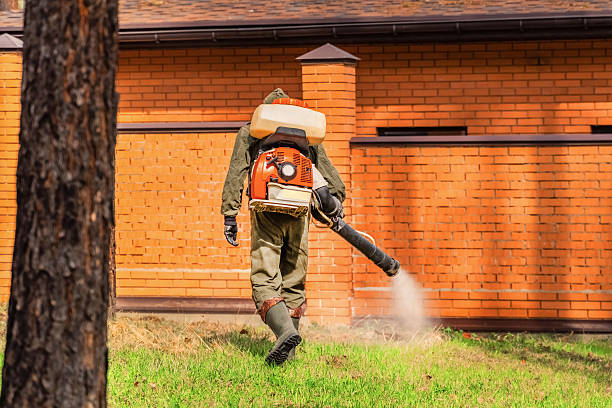 Trusted Emergency Pest Control service in Leon Valley, TX - Nex Pest Control
